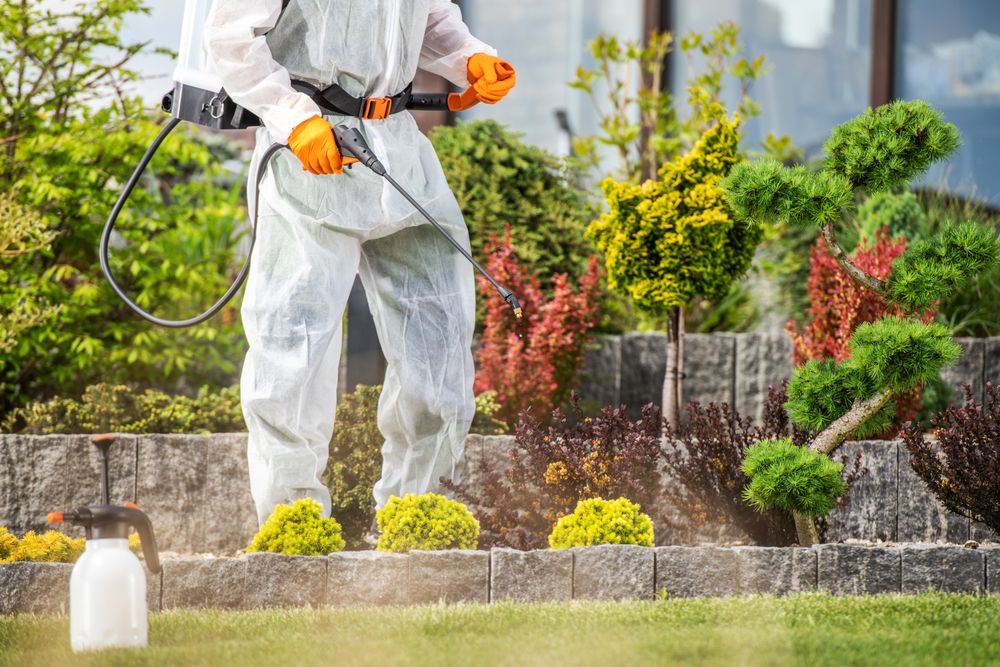Technician in protective coveralls treating shrubs around a home's foundation